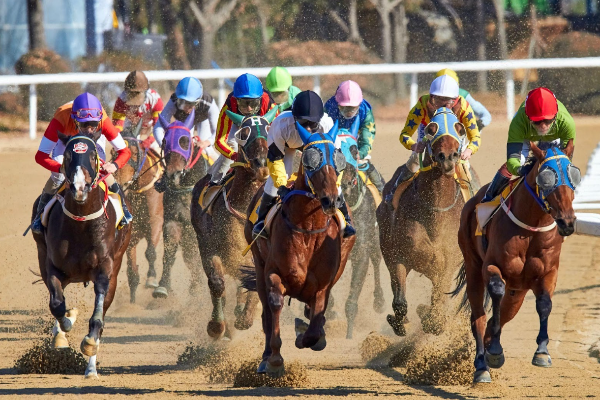 horse-racing horse-racing